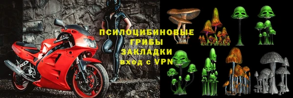 дживик Алзамай