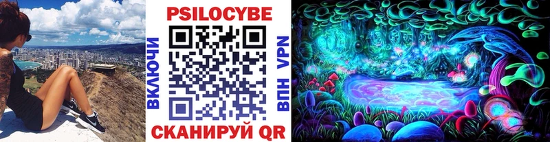 Галлюциногенные грибы Psilocybine cubensis  Старая Купавна 